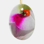 Lieveheersbeestje op de petunia - ornament (Achterkant)