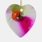 Lieveheersbeestje op de petunia - ornament (Rechts)