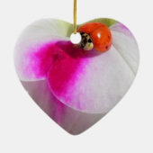 Lieveheersbeestje op de petunia - ornament (Achterkant)