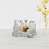 Lieveheersbeestje op een Daisy blanco briefkaart (Gele Bloem)