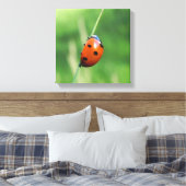 Lieveheersbeestje op een grasspriet canvas afdruk (Insitu (Slaapkamer))