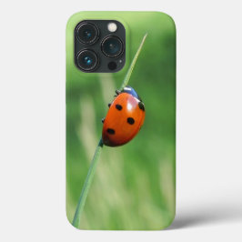 Lieveheersbeestje op een grasspriet Case-Mate iPhone case