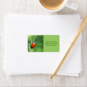 Lieveheersbeestje op een grasspriet  Labels (Insitu)