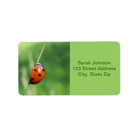 Lieveheersbeestje op een grasspriet  Labels (Voorkant)