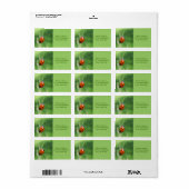 Lieveheersbeestje op een grasspriet  Labels (Full Sheet)