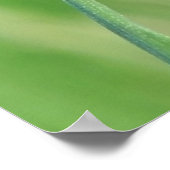 Lieveheersbeestje op een grasspriet Poster (Hoek)