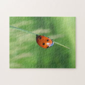 Lieveheersbeestje op een grasspriet Puzzel (Horizontaal)