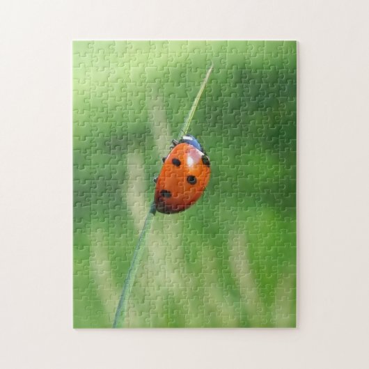 Lieveheersbeestje op een grasspriet Puzzel (Verticaal)