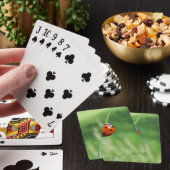 Lieveheersbeestje op een grasspriet speelkaarten (Insitu)