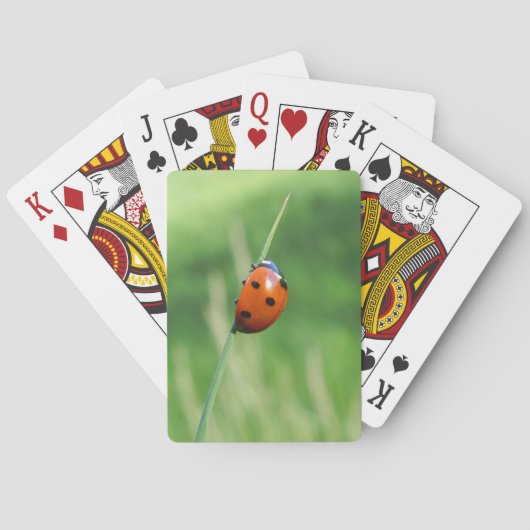 Lieveheersbeestje op een grasspriet speelkaarten (Achterkant)