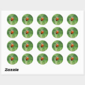 Lieveheersbeestje op een grasspriet Sticker (Vel)