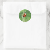 Lieveheersbeestje op een grasspriet Sticker (Tas)