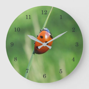Lieveheersbeestje op een grassprietje grote klok