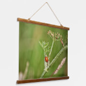 Lieveheersbeestje op een groen plant hangend wandkleed (Gebogen)