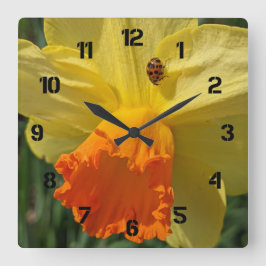 Lieveheersbeestje op gele narcis bloem grote klok