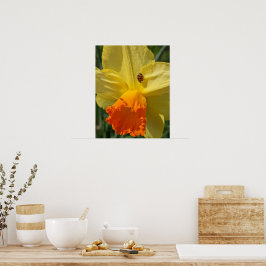 Lieveheersbeestje op gele narcis bloem poster