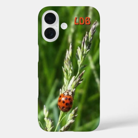Lieveheersbeestje op gras Case-Mate iPhone case (Achterkant)