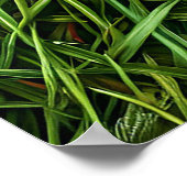 Lieveheersbeestje op het gras poster (Hoek)