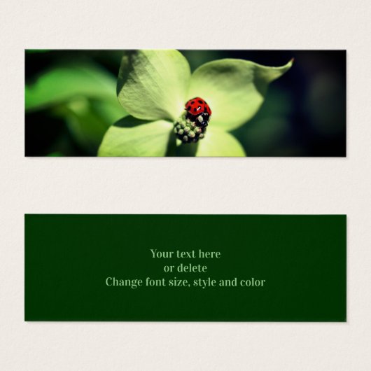 Lieveheersbeestje op hondenbloem Natuur mini-Bladw Mini Visitekaartjes (Voorkant /achterkant)