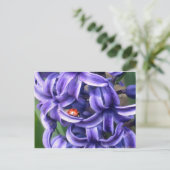 Lieveheersbeestje op Hyacint Briefkaart (Staand voorkant)