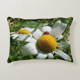 Lieveheersbeestje op margriet in de natuur. accent kussen