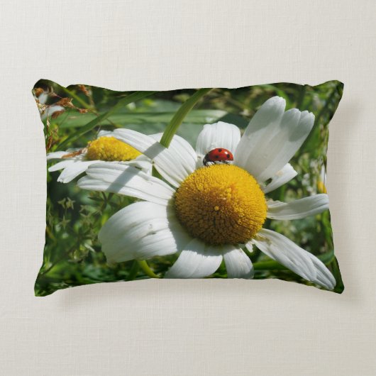 Lieveheersbeestje op margriet in de natuur. accent kussen (Voorkant)