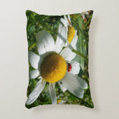 Lieveheersbeestje op margriet in de natuur. accent kussen (Voorkant(Verticaal))