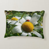 Lieveheersbeestje op margriet in de natuur. accent kussen (Achterkant)