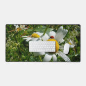 Lieveheersbeestje op margriet in de natuur. bureaumat (Keyboard & Muis)