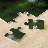 Lieveheersbeestje op margriet in de natuur. legpuzzel (Zijkant)