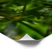 Lieveheersbeestje op margriet in de natuur. perfect poster (Hoek)