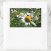 Lieveheersbeestje op margriet in de natuur. rechthoekige sticker (Tas)