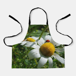 Lieveheersbeestje op margriet in de natuur. schort