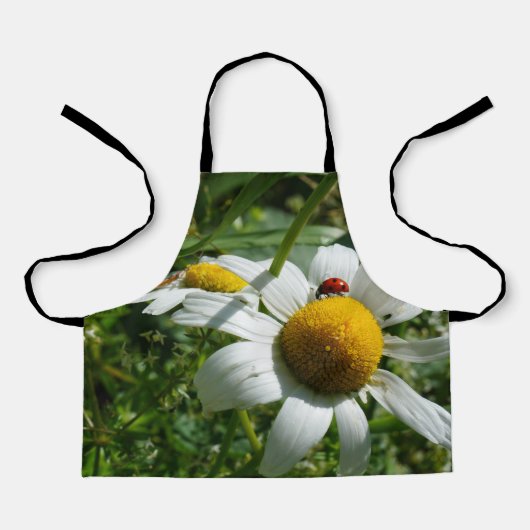 Lieveheersbeestje op margriet in de natuur. schort (Voorkant)