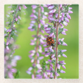 Lieveheersbeestje op paarse bloemen   glazen onderzetter