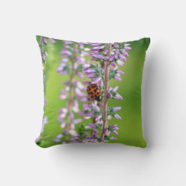 Lieveheersbeestje op paarse bloemen  kussen