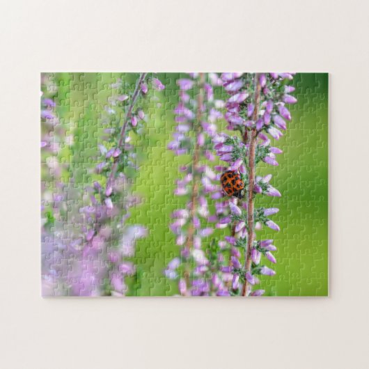 Lieveheersbeestje op paarse bloemen legpuzzel (Horizontaal)