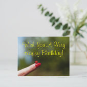 Lieveheersbeestje op vinger gelukkige verjaardagsw briefkaart (Staand voorkant)