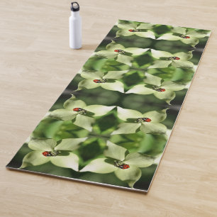 Lieveheersbeestje op witte hondenbloem Natuur Abst Yogamat