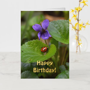 Lieveheersbeestje op zoete viooltjesbloemen folie wenskaart