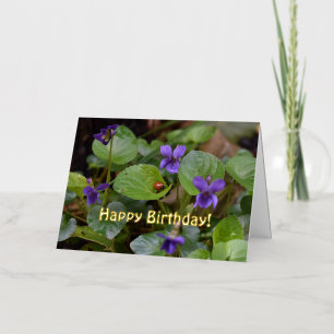 Lieveheersbeestje op zoete viooltjesbloemen folie wenskaart
