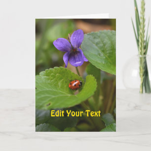 Lieveheersbeestje op zoete viooltjesbloemen kaart