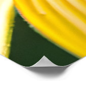 Lieveheersbeestje op Zonnebloem Macro Fotografie Poster (Hoek)