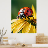 Lieveheersbeestje op Zonnebloem Macro Fotografie Poster (Keuken)
