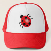 Lieveheersbeestje | PET (Voorkant)