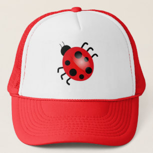Lieveheersbeestje Pet