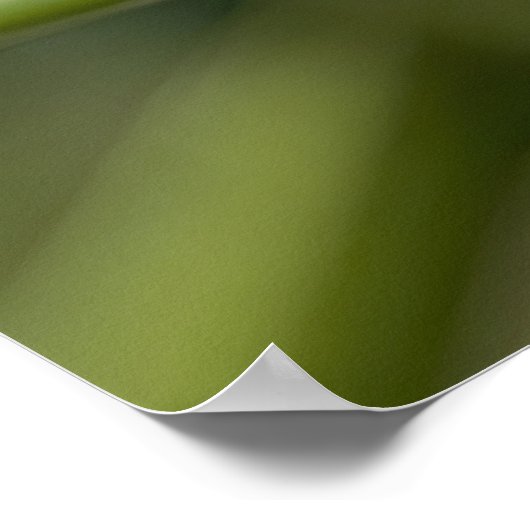 lieveheersbeestje poster (Hoek)