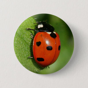Lieveheersbeestje Ronde Button 5,7 Cm