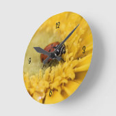 Lieveheersbeestje Ronde Klok (Hoek)