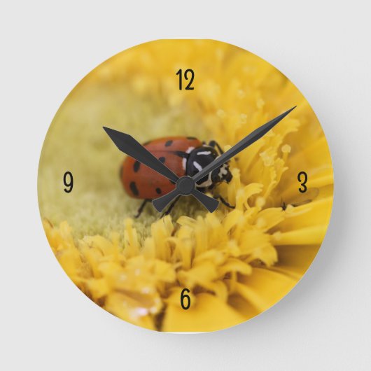 Lieveheersbeestje Ronde Klok (Voorkant)